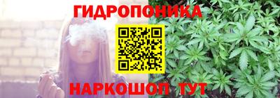 амф Гусев