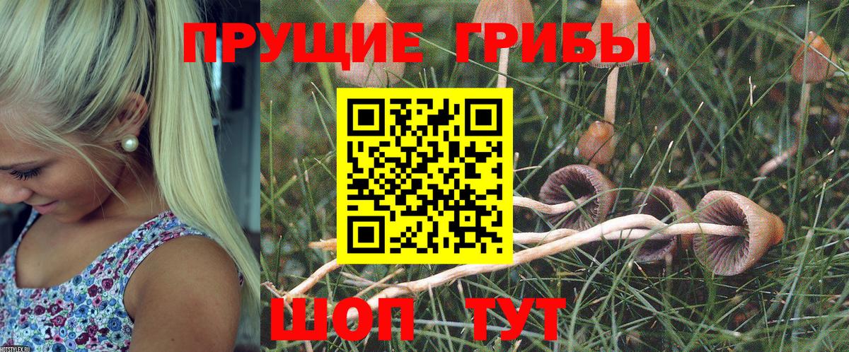 Вичуга  Галлюциногенные грибы мухоморы  Вход с VPN  Галлюциногенные грибы мухоморы 